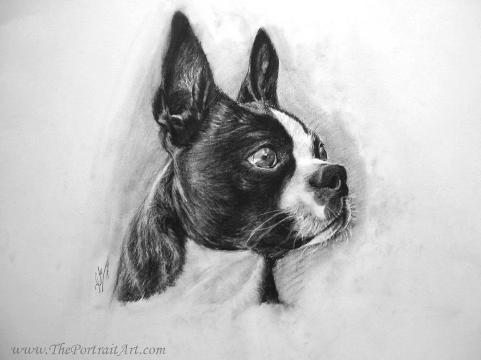 Commissioned hand-drawn charcoal portrait by Victor Sun