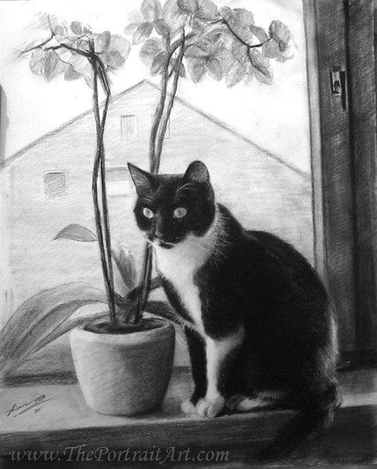 Commissioned hand-drawn charcoal portrait by Victor Sun