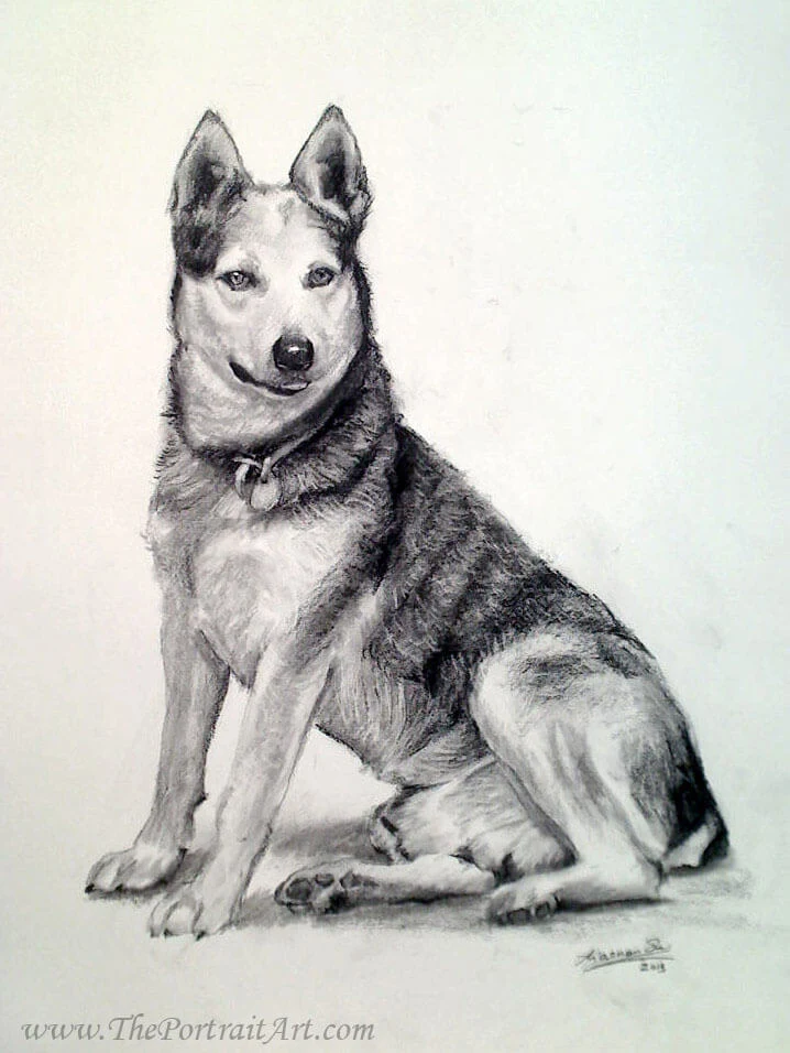 Commissioned hand-drawn charcoal portrait by Victor Sun