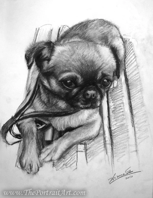 Commissioned hand-drawn charcoal portrait by Victor Sun