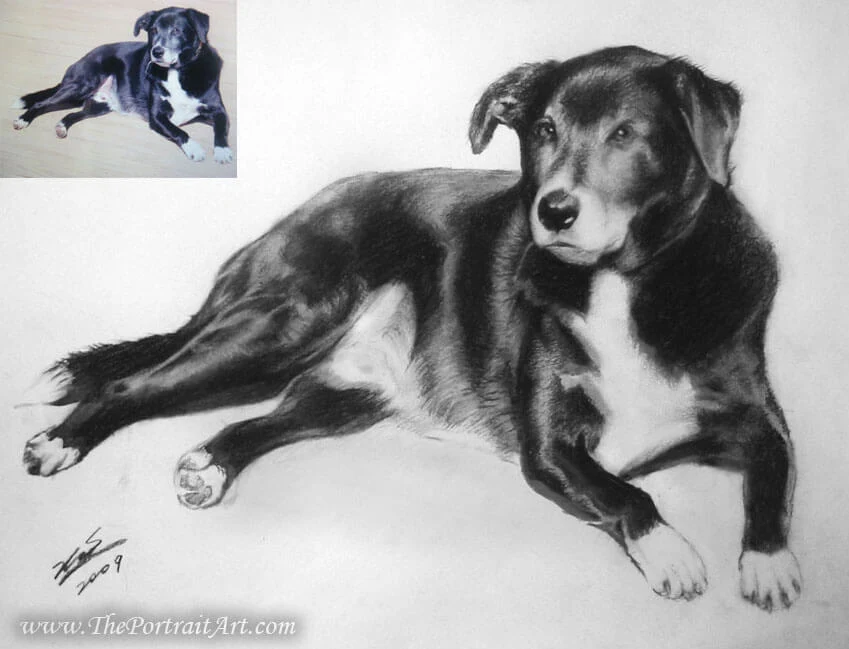 Commissioned hand-drawn charcoal portrait by Victor Sun