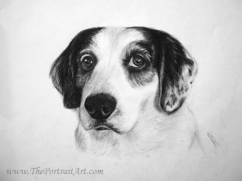 Commissioned hand-drawn charcoal portrait by Victor Sun