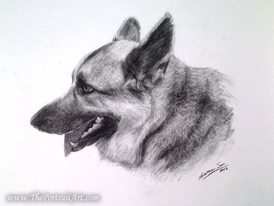 Commissioned hand-drawn charcoal portrait by Victor Sun