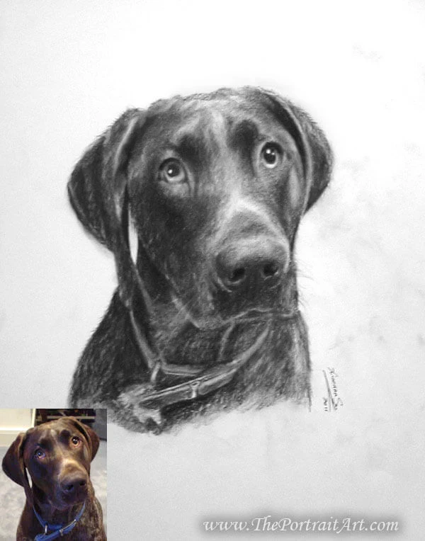 Commissioned hand-drawn charcoal portrait by Victor Sun