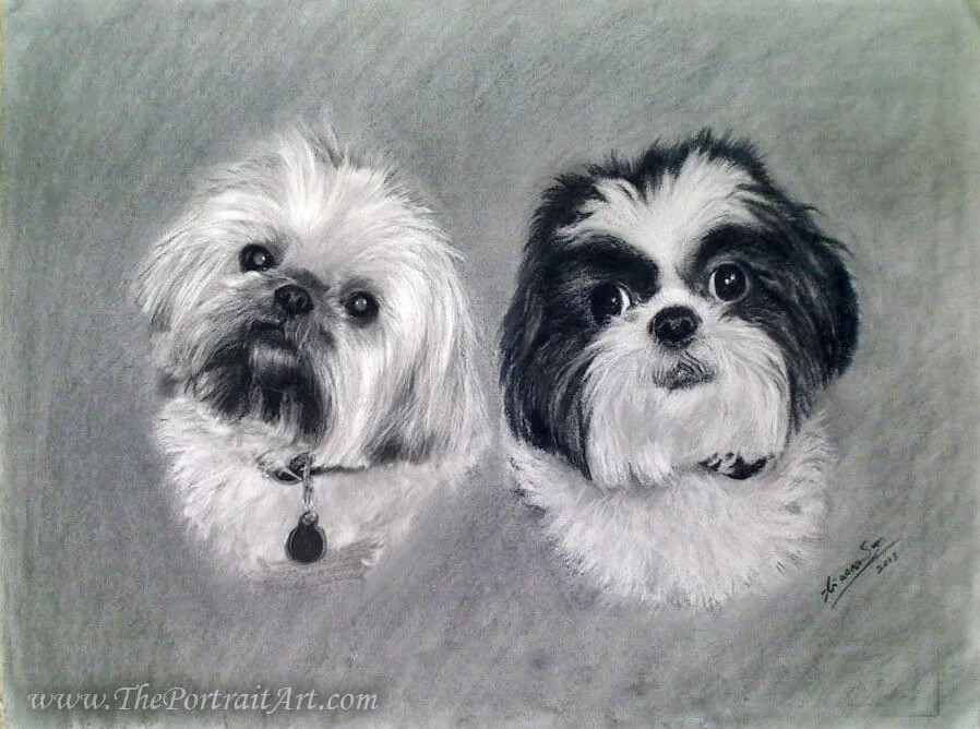 Commissioned hand-drawn charcoal portrait by Victor Sun