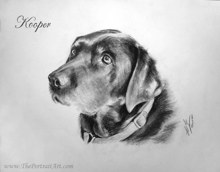 Commissioned hand-drawn charcoal portrait by Victor Sun