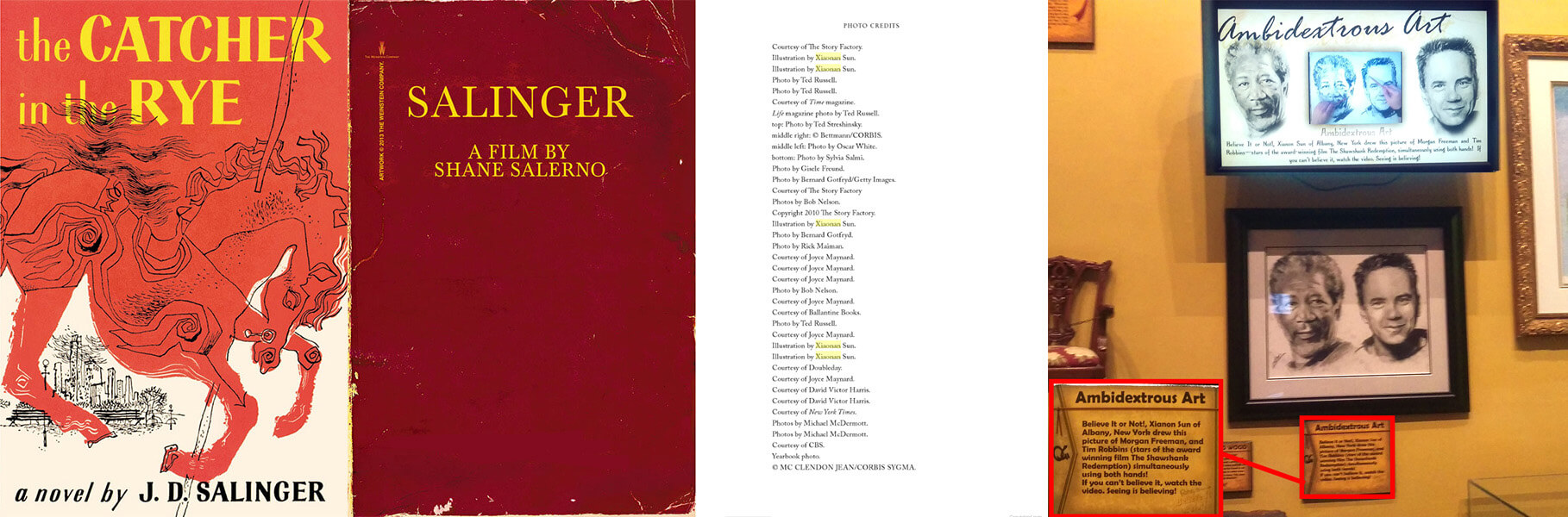 salinger credit smart compressed